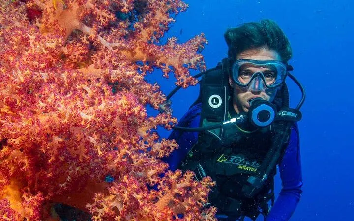 Advanced Diving Course in the Gorgeous Red Sea – Sharm El Sheikh