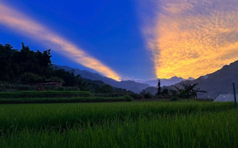 Sunset over rice fields in Sapa Valley with mountains in the background.