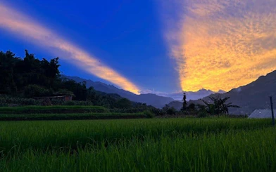 Sunset over rice fields in Sapa Valley with mountains in the background.