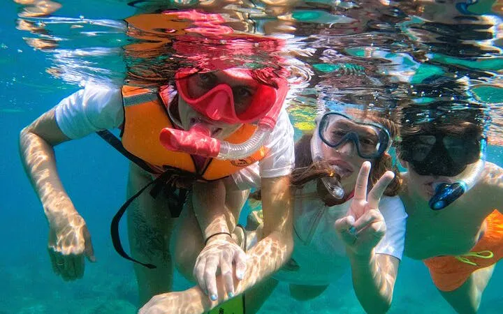 Snorkeling Experience with Turtles in Fujairah Coral Reefs with Equipment and Refreshments