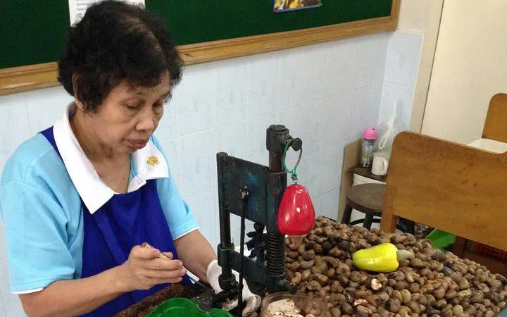 Worker processing cashew nuts in Phuket during a guided tour.