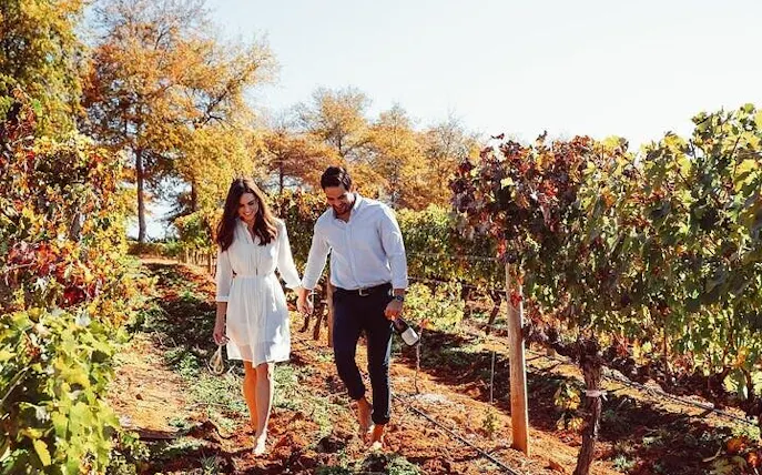 privéhelikoptervlucht vanuit kaapstad naar de kaap de goede hoop, inclusief wijnproeverijen in stellenbosch en een culinaire tour-1