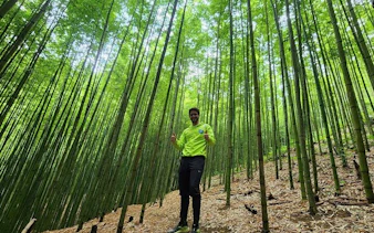 Person trekking through bamboo forest in Mu Cang Chai, Vietnam.