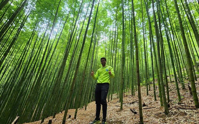 Person trekking through bamboo forest in Mu Cang Chai, Vietnam.