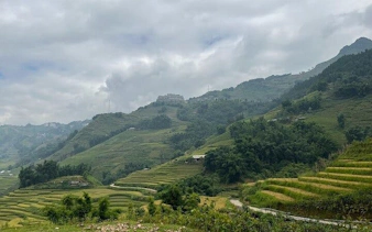 Terraced rice fields in Sapa, Vietnam, with misty mountains in the background.