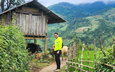 Man walking on a path beside a wooden hut and cows in Sapa, Vietnam, with terraced hills in the background.