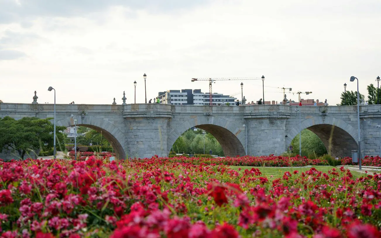 Puente de Segovia with red flowers in foreground, Madrid Río, Madrid.