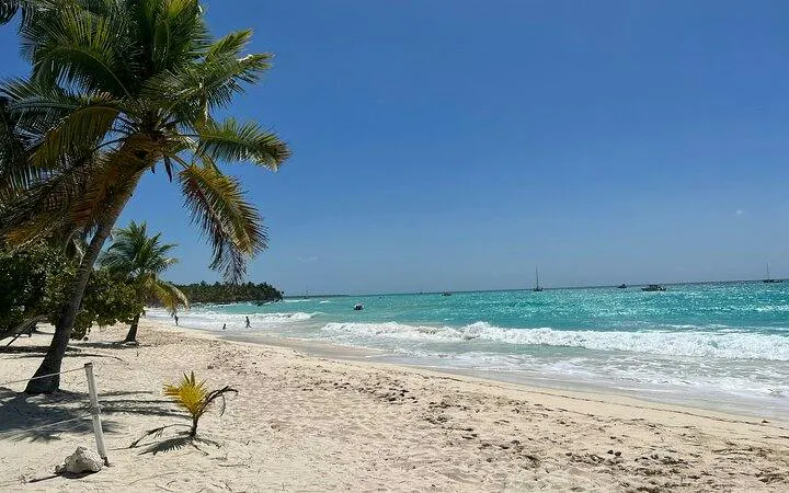 Saona Island beach with palm trees and turquoise water, Punta Cana day trip.