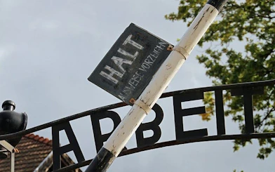 Krakow: Auschwitz-Birkenau Shared English Tour and Transfer