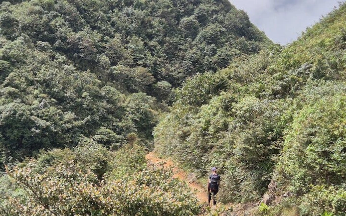Trail runner on a lush mountain path in Sapa during a 21km guided tour.