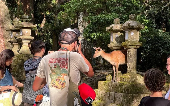 Tourists photographing a deer near stone lanterns in Nara's Deer Park, Japan.