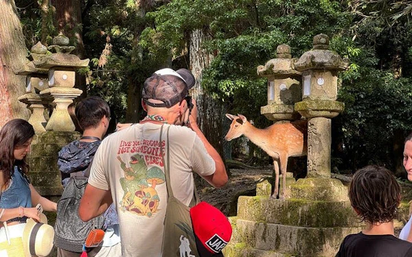 Nara: Half-Day Private Tour of 4 Must-See Spots & Deer Park