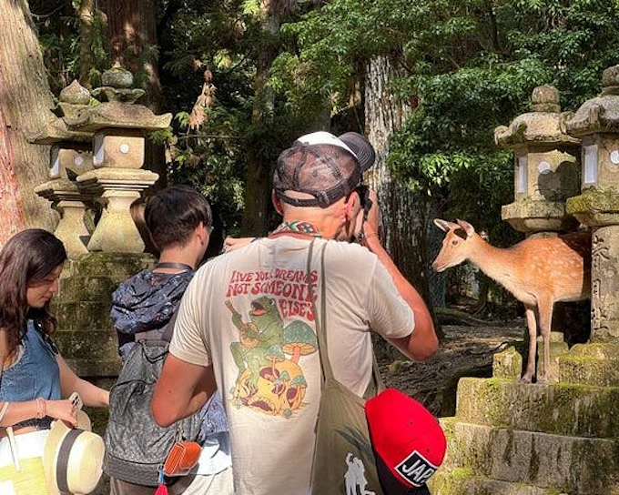 Nara: Half-Day Private Tour of 4 Must-See Spots & Deer Park