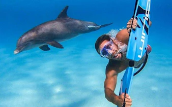 Snorkeler swimming near dolphin in clear waters, Dolphin House, Hurghada.