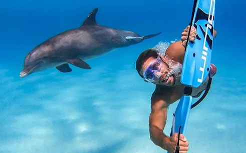 Snorkeler swimming near dolphin in clear waters, Dolphin House, Hurghada.