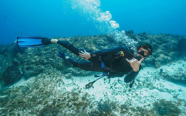 Intro Scuba Diving for beginners With (Lunch, Transfer) - Hurghada