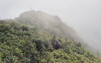 Trail runner on misty mountain path in Sapa, Vietnam during guided 21km tour.