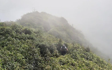 Trail runner on misty mountain path in Sapa, Vietnam during guided 21km tour.