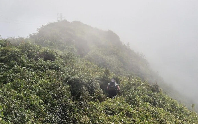 Trail runner on misty mountain path in Sapa, Vietnam during guided 21km tour.