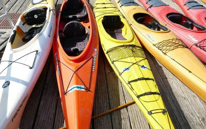Kayaks lined up on a wooden dock for Key Largo Mangrove Kayak Adventure, Miami.
