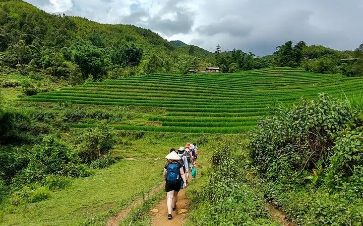Trekking group walking through lush rice terraces in Muong Hoa Valley, Sapa, Vietnam.