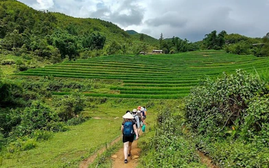 Trekking group walking through lush rice terraces in Muong Hoa Valley, Sapa, Vietnam.