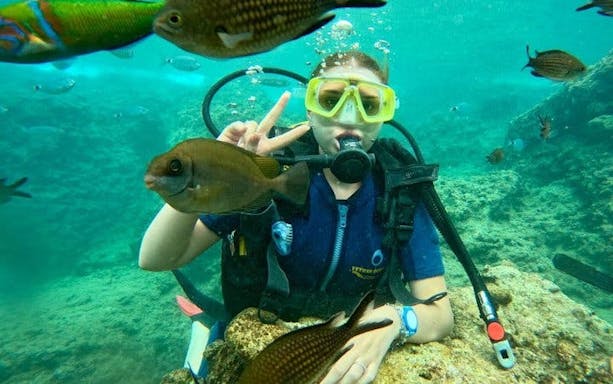 excursie de scufundări și snorkeling în alanya-2