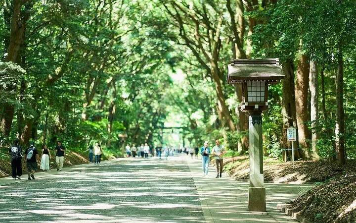 Tokyo: Meiji Shrine Walking Tour — Shinto & Imperial System Image 3
