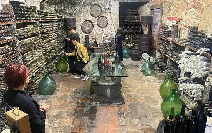 Wine cellar tour with visitors exploring bottles and barrels in a Tuscan winery near Pisa and Vinci.