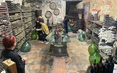 Wine cellar tour with visitors exploring bottles and barrels in a Tuscan winery near Pisa and Vinci.