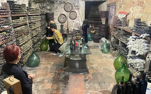 Wine cellar tour with visitors exploring bottles and barrels in a Tuscan winery near Pisa and Vinci.