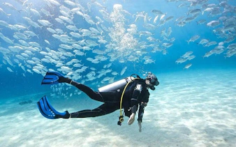 Scuba diver exploring underwater with fish in Sharm El Sheikh.