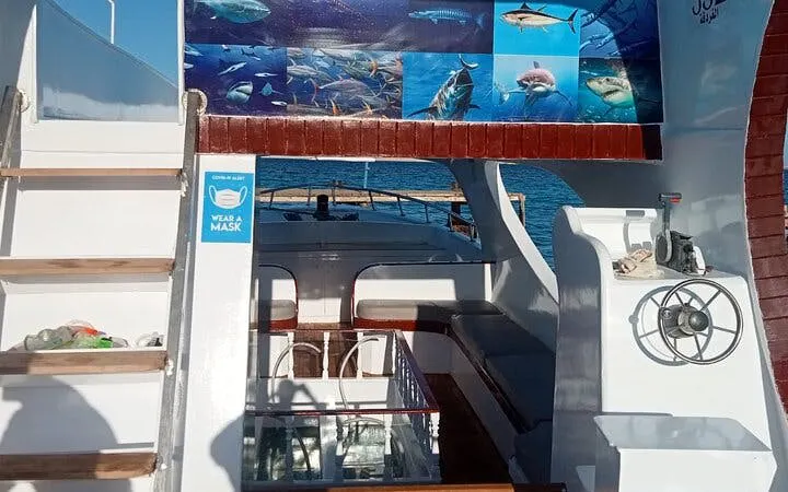 Glass-bottom boat interior with marine life images, Sharm El Sheikh sea trip.