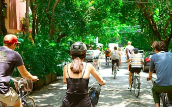 Cyclists riding through a tree-lined street in Mexico City.