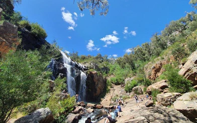 Waterfall and hikers in Grampians National Park, Australia, surrounded by lush greenery.
