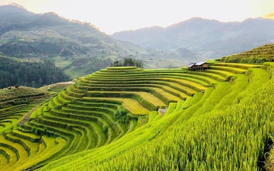 Sapa rice terraces with a small hut, surrounded by mountains at sunrise.