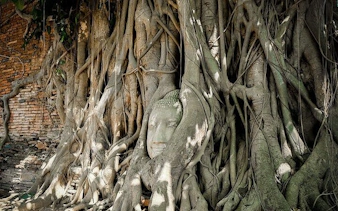 privat: ganztägige tour zum maeklong railway market und nach ayutthaya-1