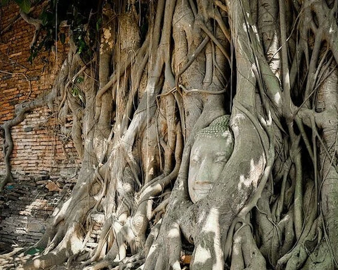 Private: Maeklong Railway Market and Ayutthaya Full Day Tour