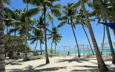 Tropical beach with palm trees and white sand on Saona Island, Punta Cana.
