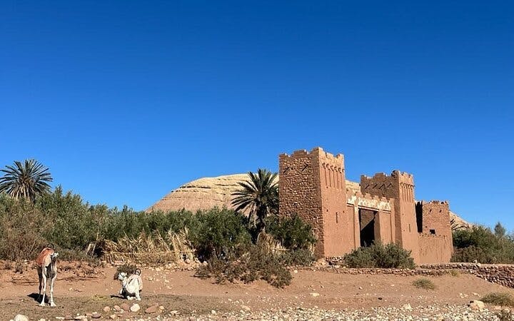 van fez naar marrakesh: 4-daagse tour in kleine groep naar merzouga met kameeltocht, sandboarden, dades en todra-3