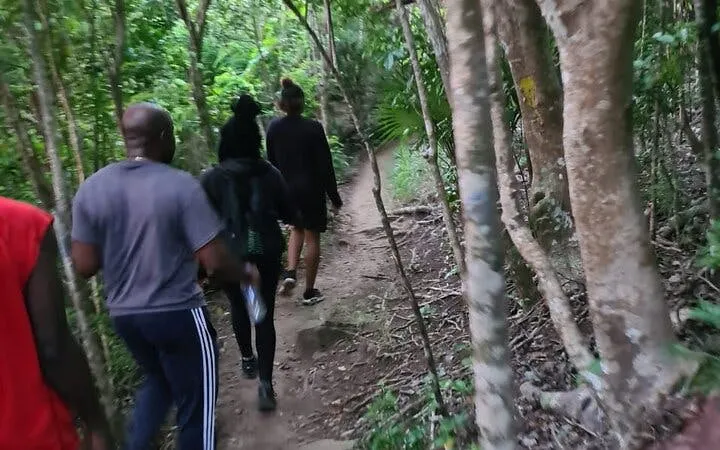 Hikers walking through lush forest trail on St. Maarten guided hike to island’s highest point.