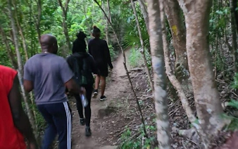 Hikers walking through lush forest trail on St. Maarten guided hike to island’s highest point.