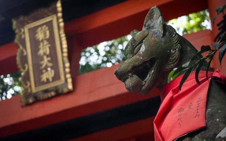 tur de drumeție în zona ascunsă a parcului fushimi inari (opțiune privată disponibilă)-1
