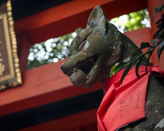 Fushimi Inari Hidden Hiking Tour (Private Option Available)