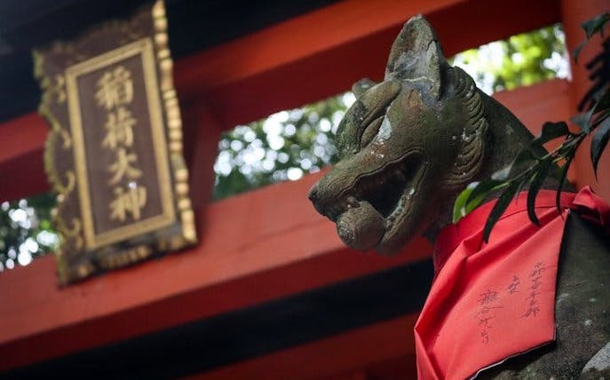 tur de drumeție în zona ascunsă a parcului fushimi inari (opțiune privată disponibilă)-1