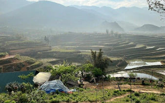 Terraced rice fields in Sapa with misty mountains in the background, Vietnam.