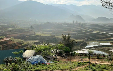 Terraced rice fields in Sapa with misty mountains in the background, Vietnam.