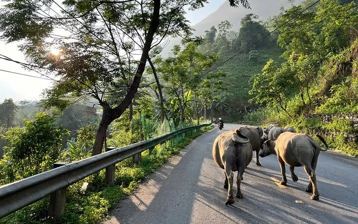 Sapa Villages and Hot Springs Full-Day Car Tour with Cat Cat Village Ticket and Local Guide (Product 54179)