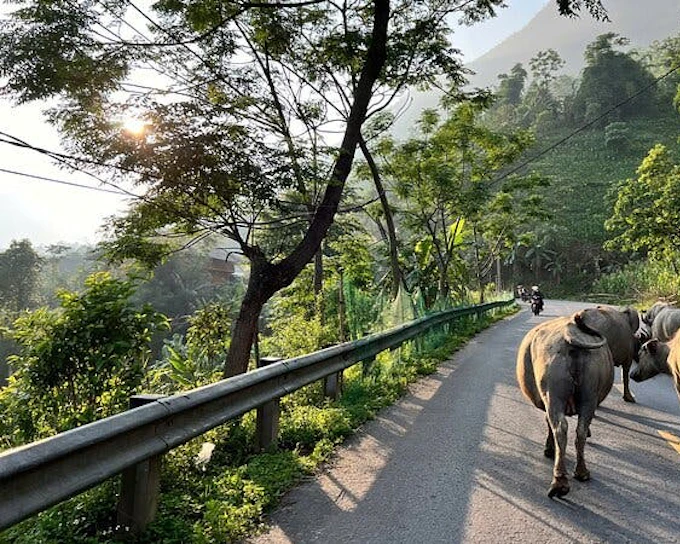 Sapa Villages and Hot Springs Full-Day Car Tour with Cat Cat Village Ticket and Local Guide (Product 54179)