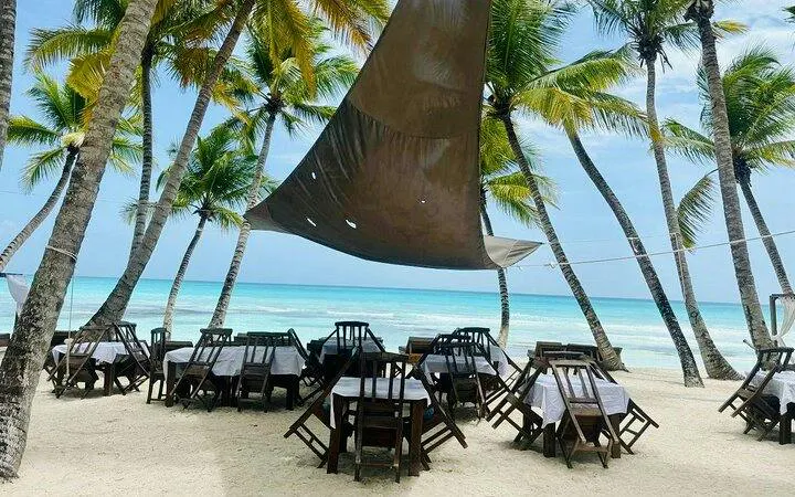 Beachside dining setup under palm trees on Saona Island, Punta Cana.